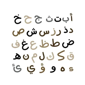 Each Arabic dialect has its wealth of terms