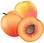 Apricot-in-arabic