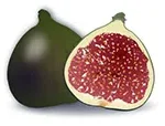 fig-in-arabic