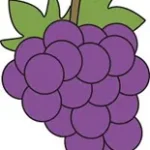 Grape-in-arabic 