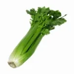 celery-in-arabic